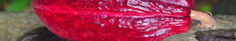 Povolte prosím zobrazení obrázků/Please allow images