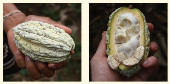 Povolte prosím zobrazení obrázků/Please allow images