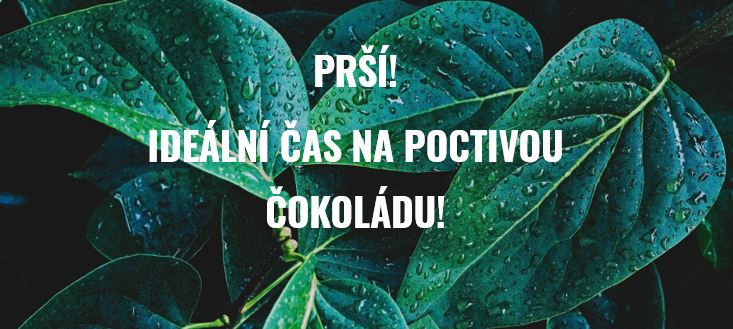Povolte prosím zobrazení obrázků/Please allow images
