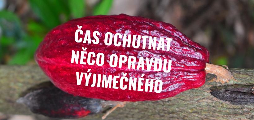 Povolte prosím zobrazení obrázků/Please allow images