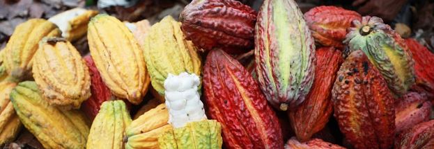 Povolte prosím zobrazení obrázků/Please allow images