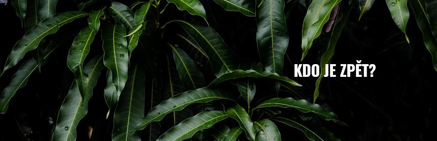 Povolte prosím zobrazení obrázků/Please allow images