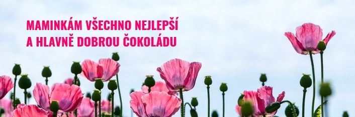Povolte prosím zobrazení obrázků/Please allow images