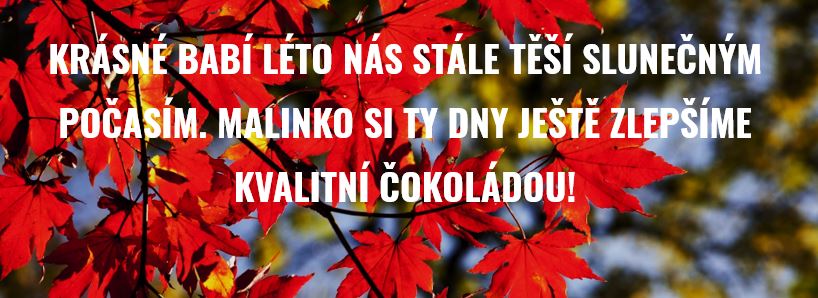Povolte prosím zobrazení obrázků/Please allow images