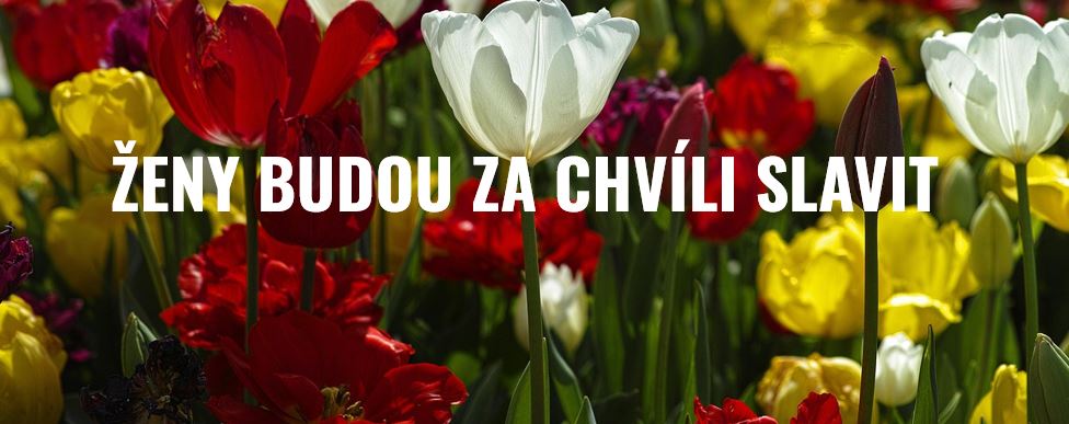 Povolte prosím zobrazení obrázků/Please allow images